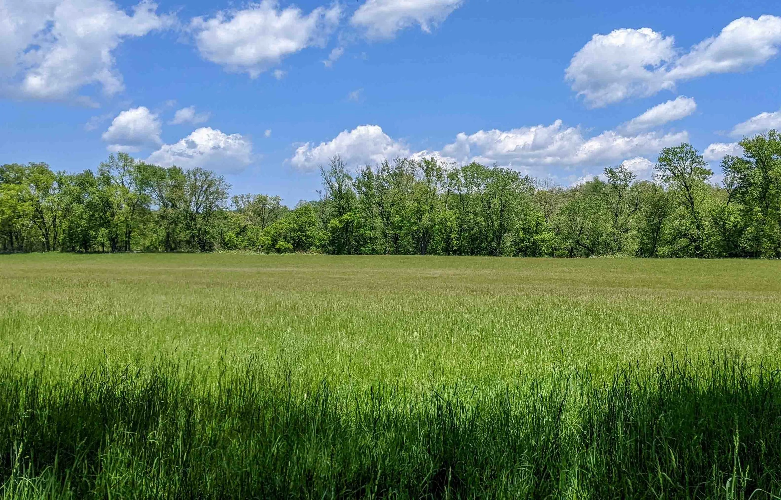 Hayfield