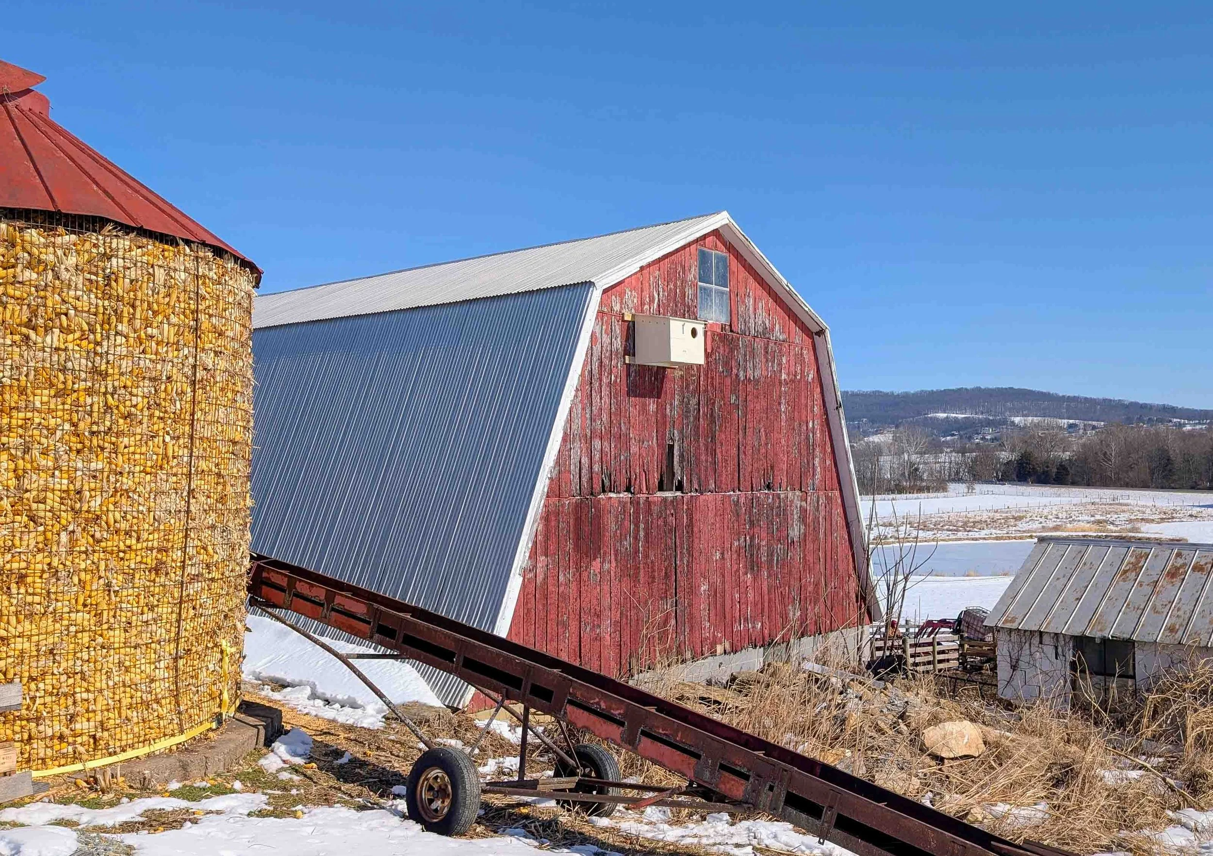 American Barn Owl nest box installed on the side of a barn. Photo by Michelle Huston. 