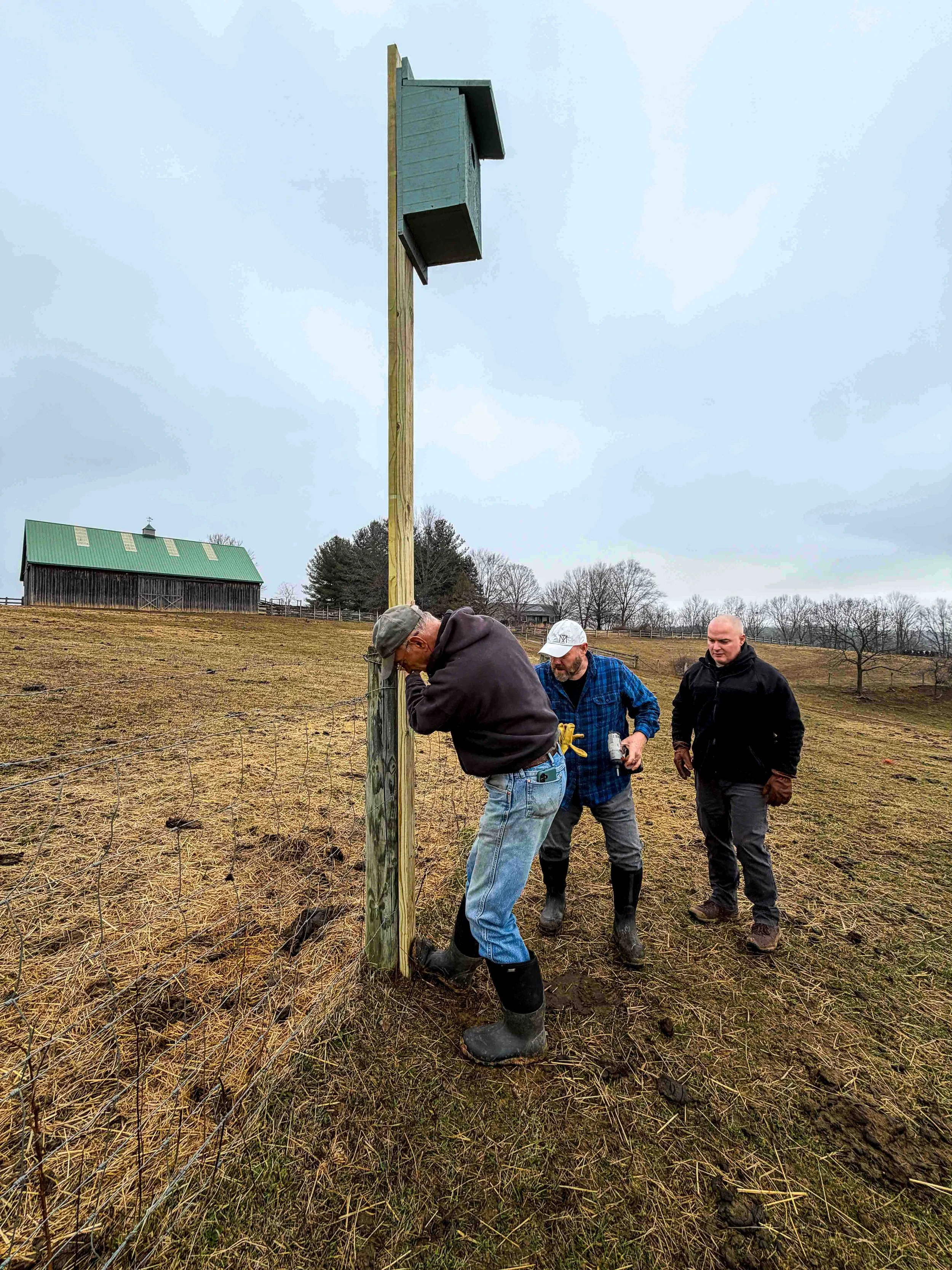 American Kestrel nest box installed on a fence post extension. Photo by Margaret Poethig.