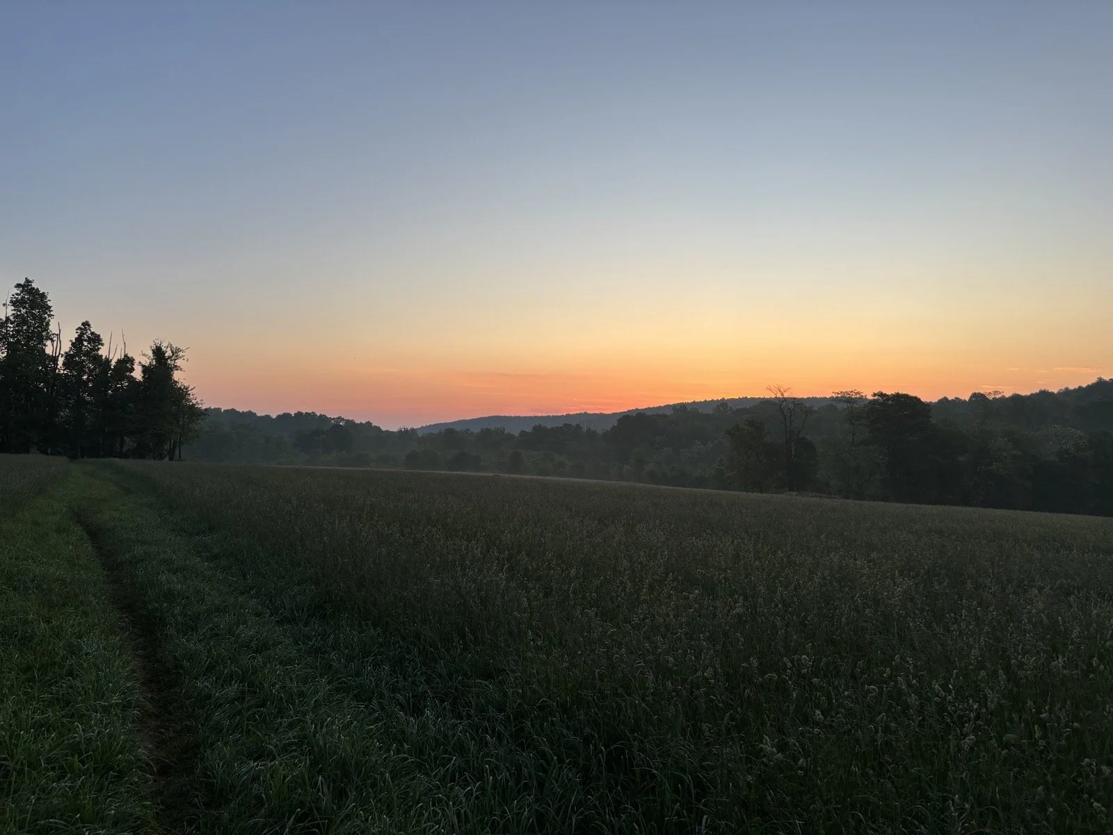 Monocacy Grassland Birds Initiative