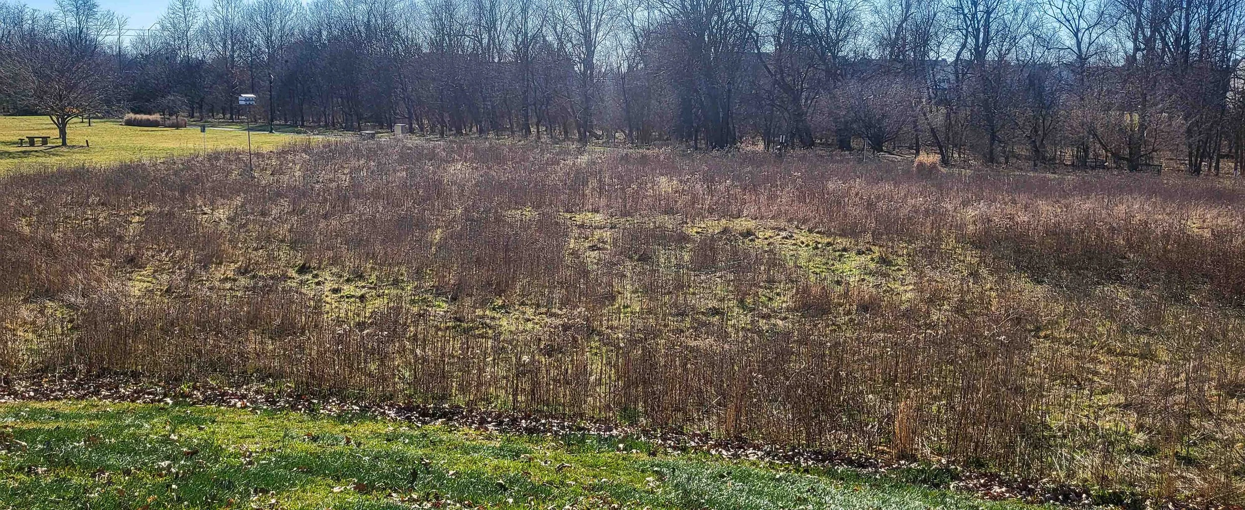 City of Frederick Renews Bird City Status
