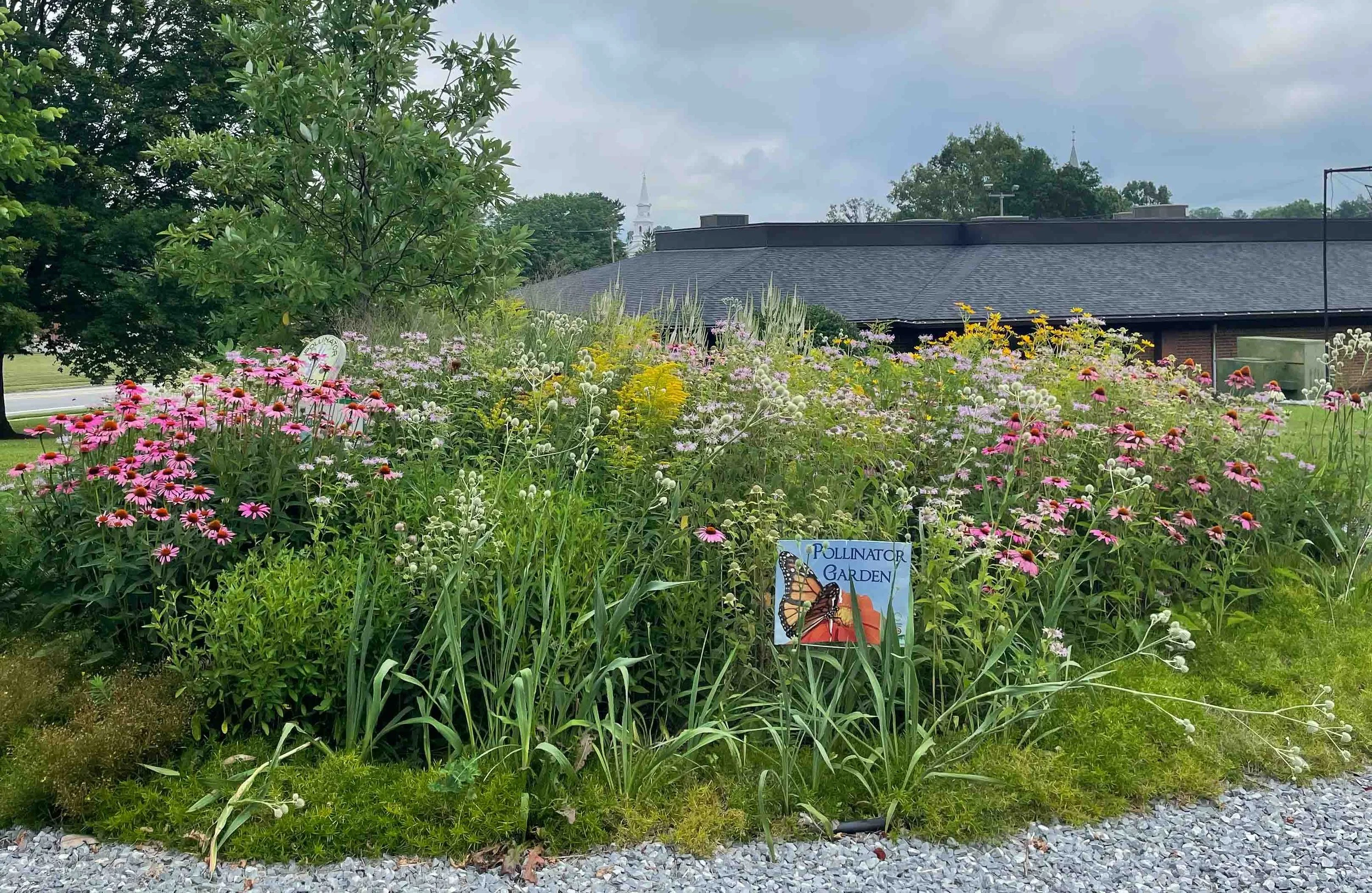 Middletown Celebrates Two Years as an Official Bird City
