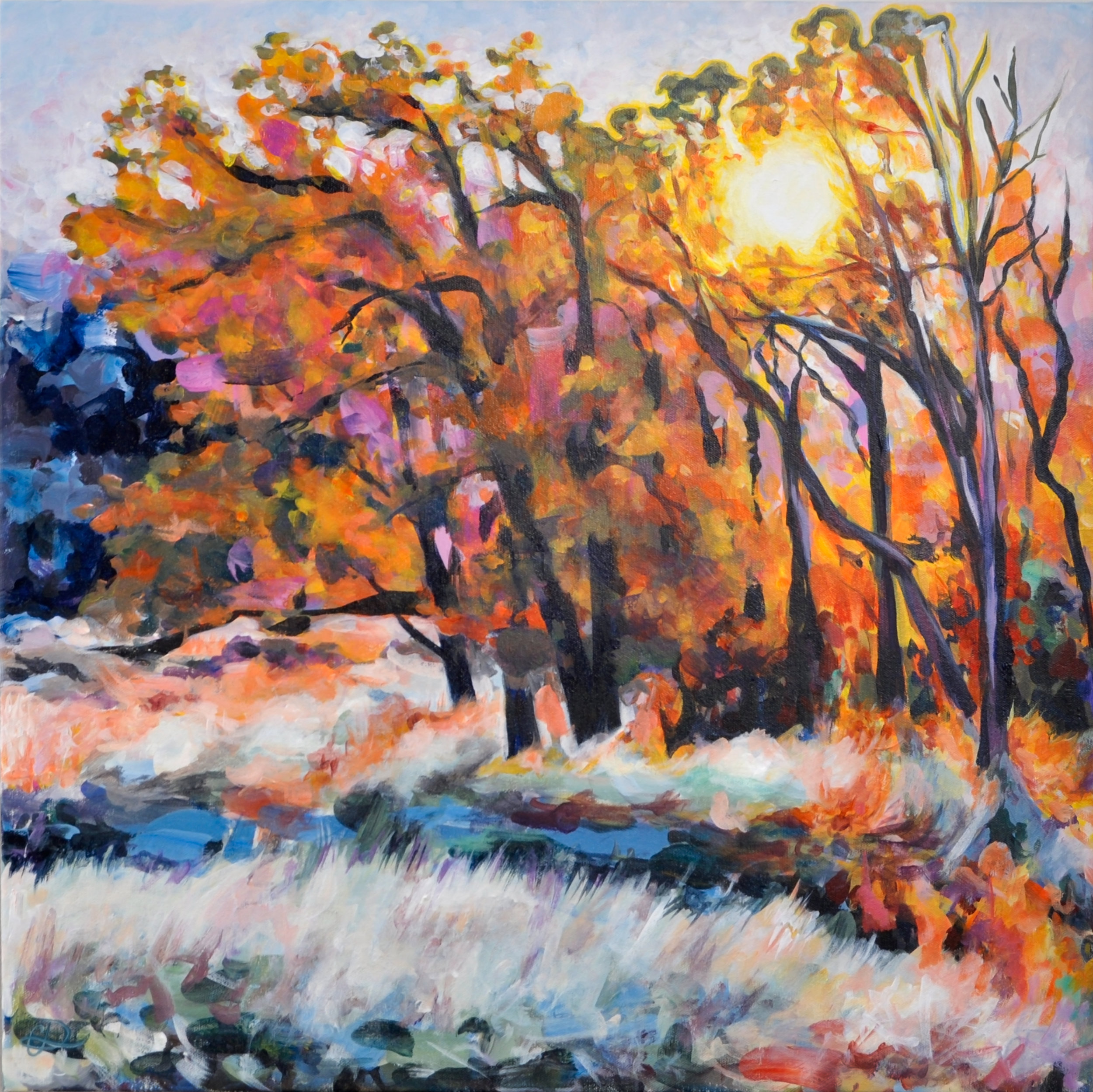 OLD Trees_in_sunlight_LG16.jpg