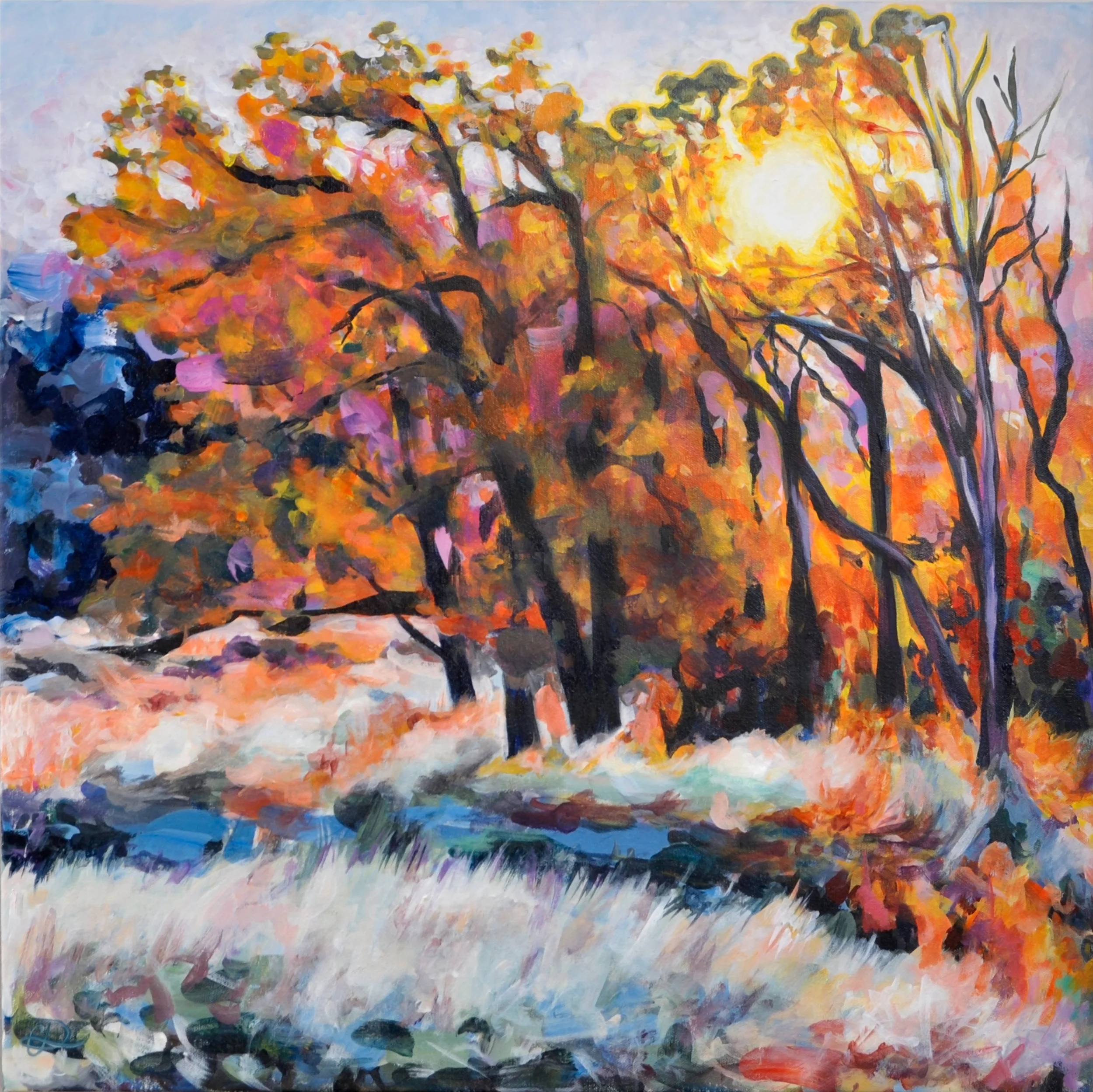 Trees in Sunlight 1 of 2