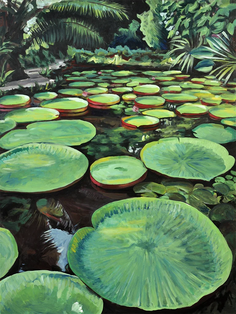 Lily Pads