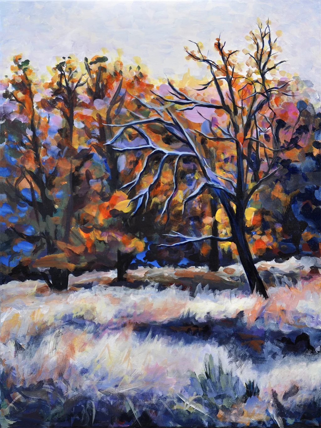 Trees in Sunlight 2 of 2