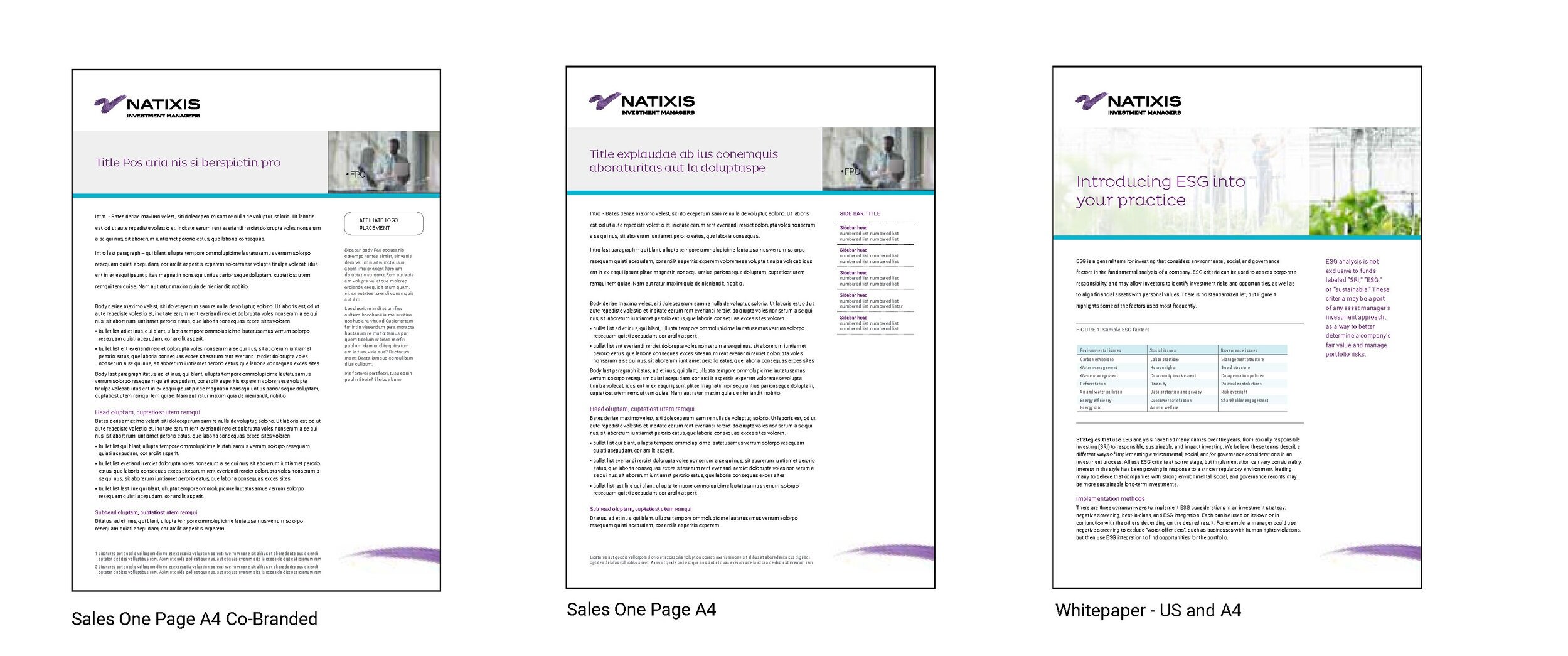  Sub-tier includes: sales idea and whitepaper templates, with options for co-branding. 