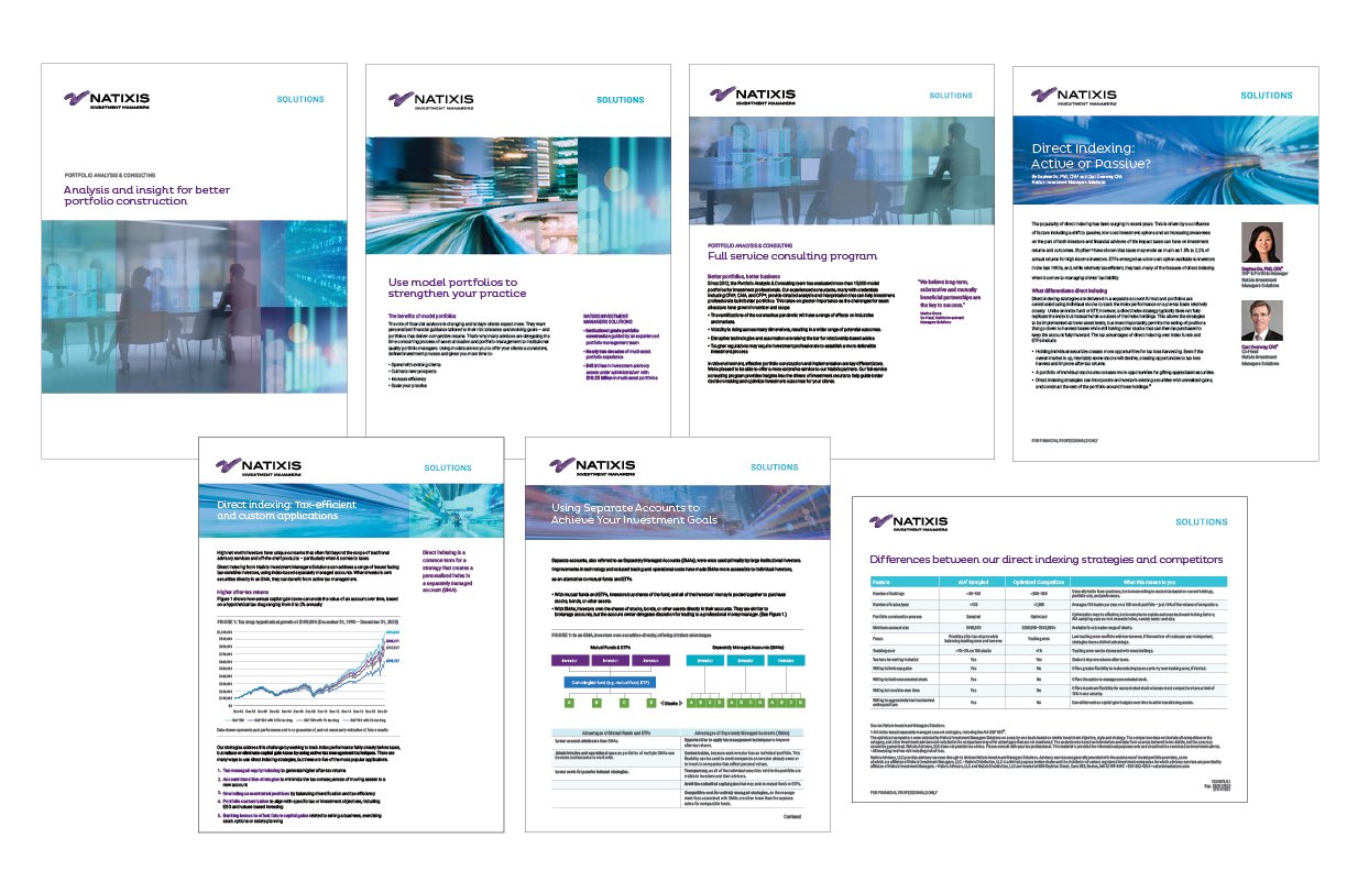 Natixis IM Solutions Hierarchy of Literature