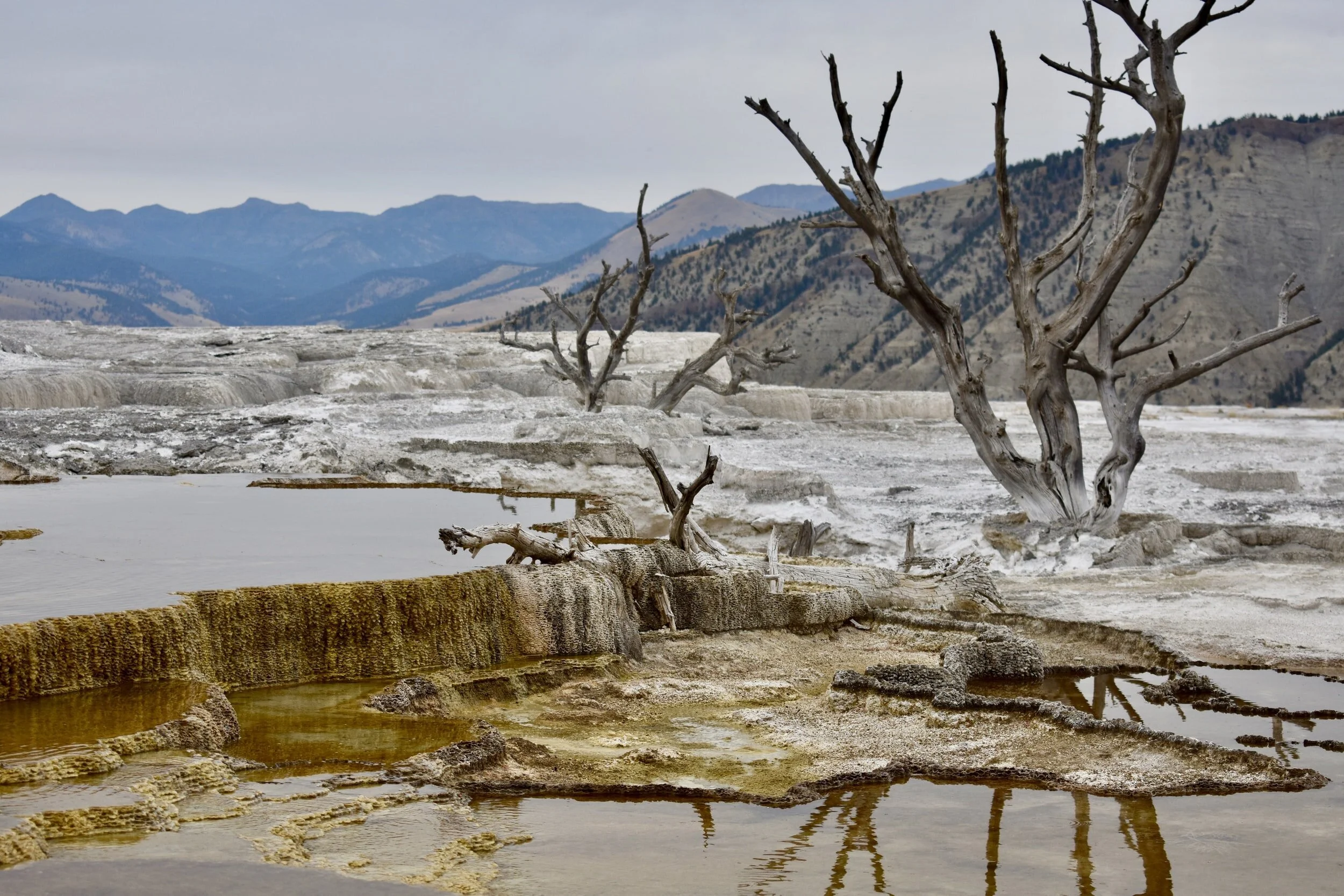 To Everything, There is a Season