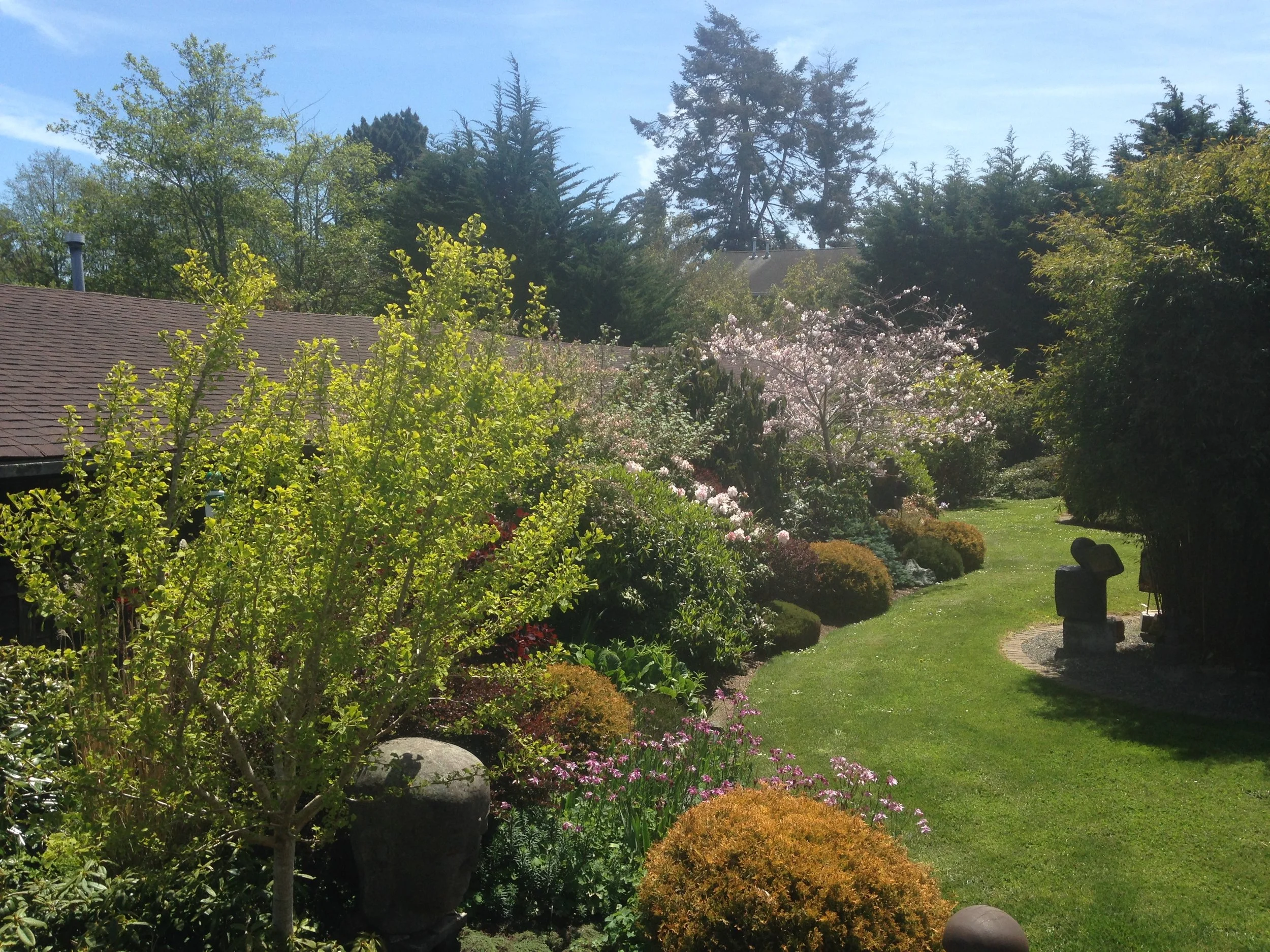 Eureka, Ca Garden Design by Ryan Scott