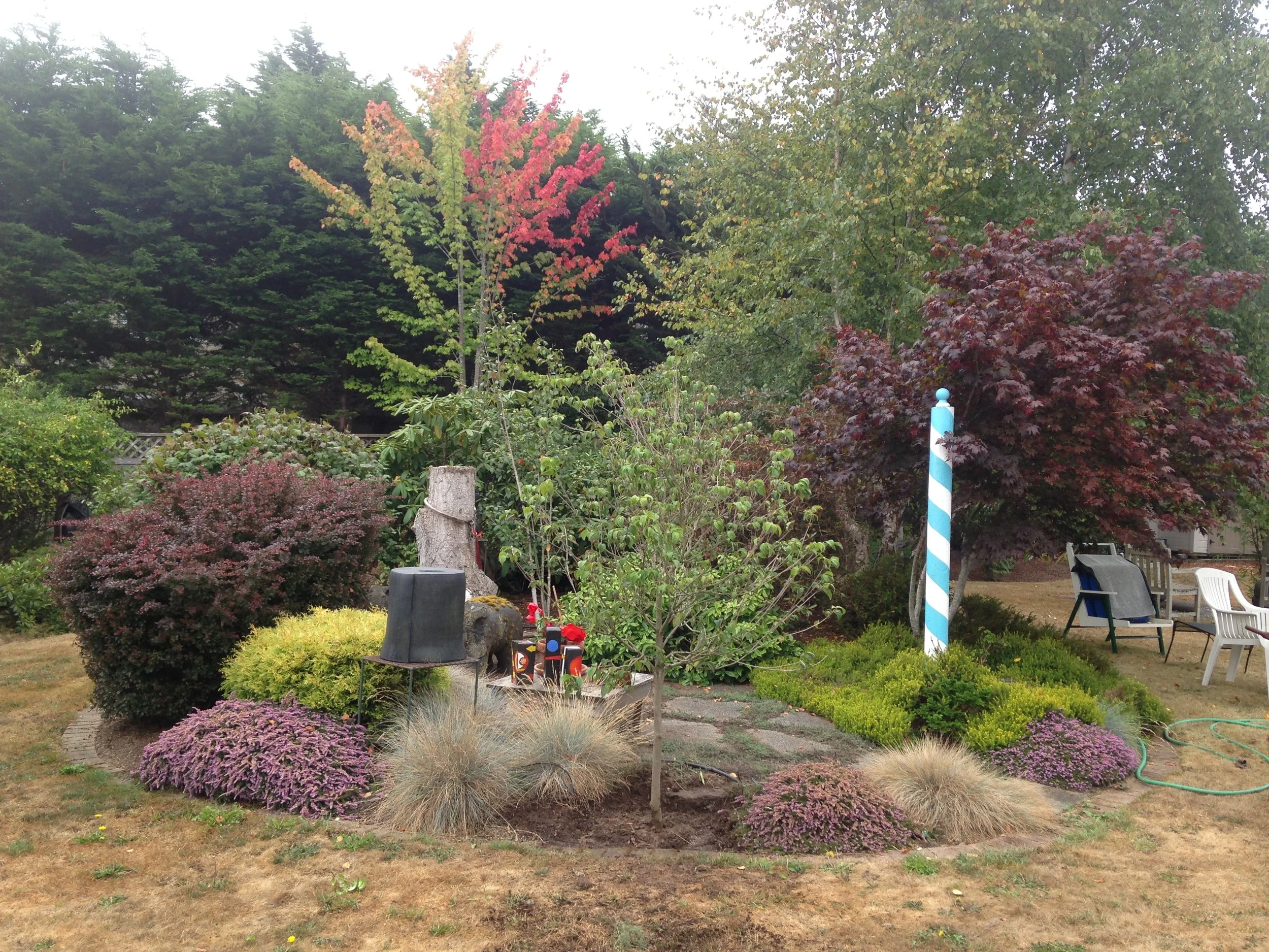 Eureka, Ca Garden Design by Ryan Scott