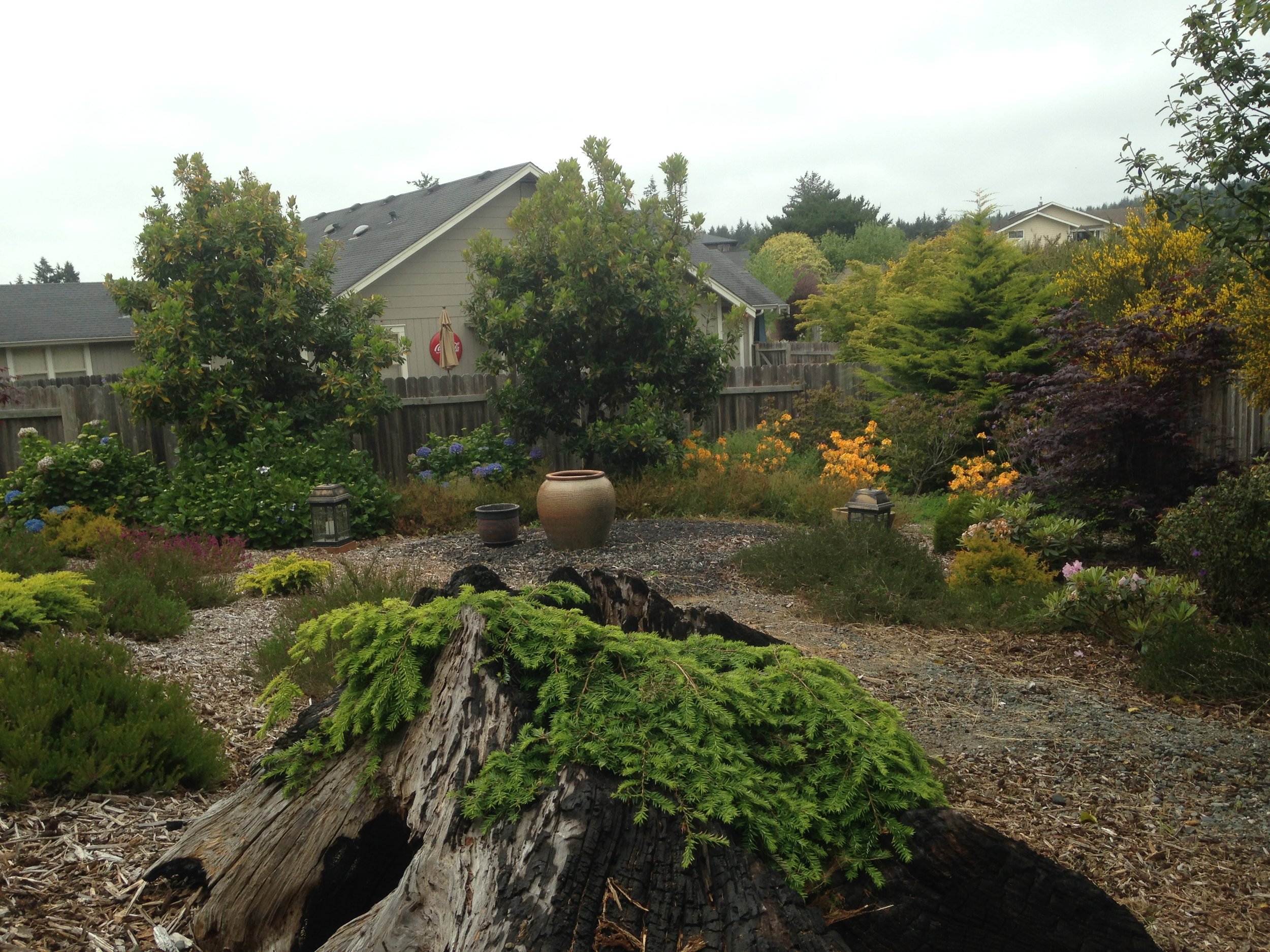 McKinleyville, CA Garden Design by Ryan Scott