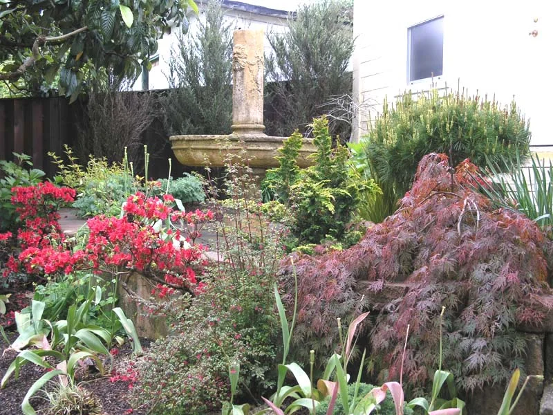 Rio Dell, CA Garden Design by Ryan Scott