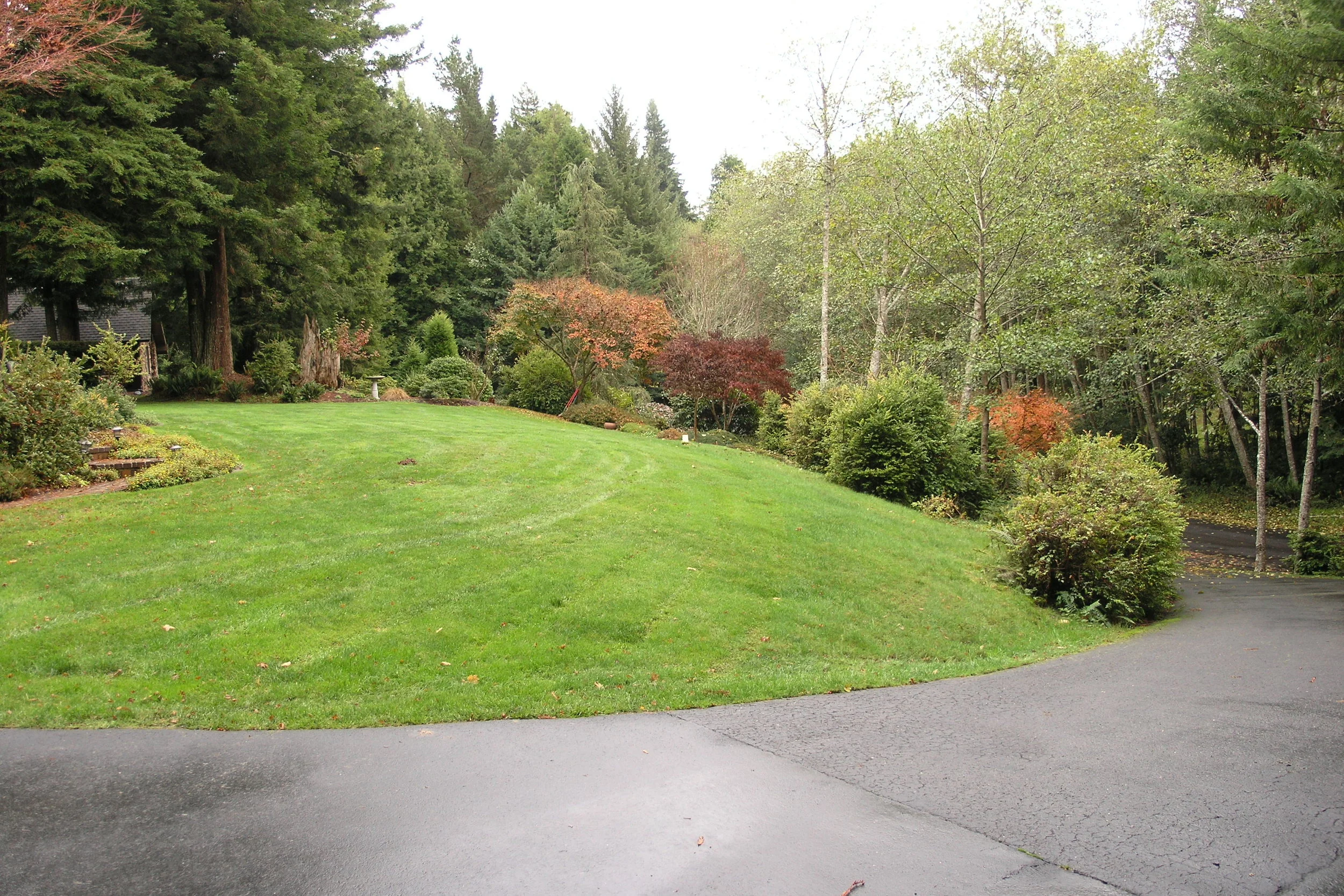 Arcata Garden Design by Ryan Scott 