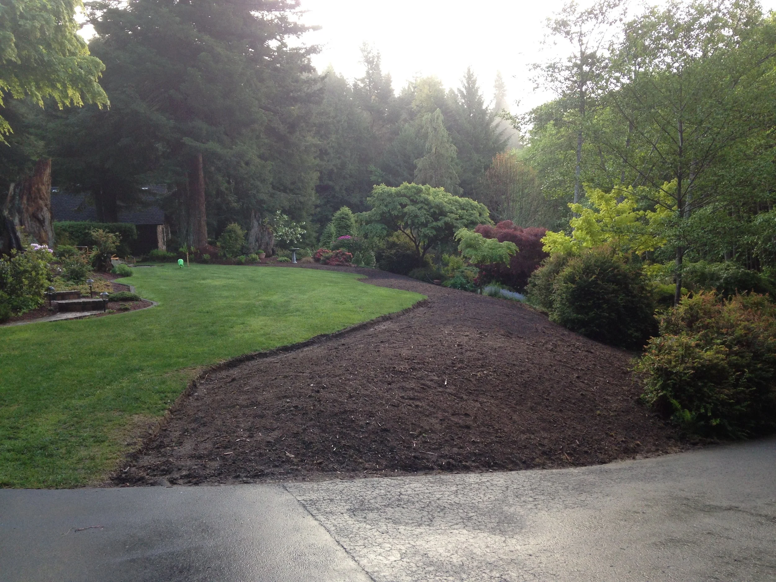 Arcata Garden Design by Ryan Scott 