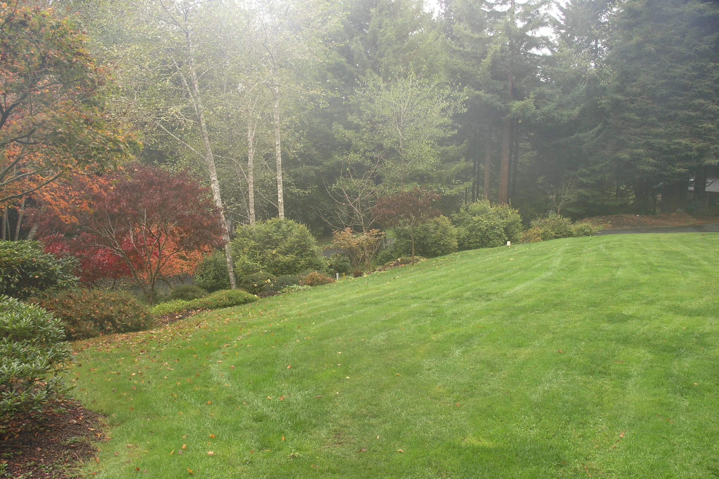 Arcata Garden Design by Ryan Scott 