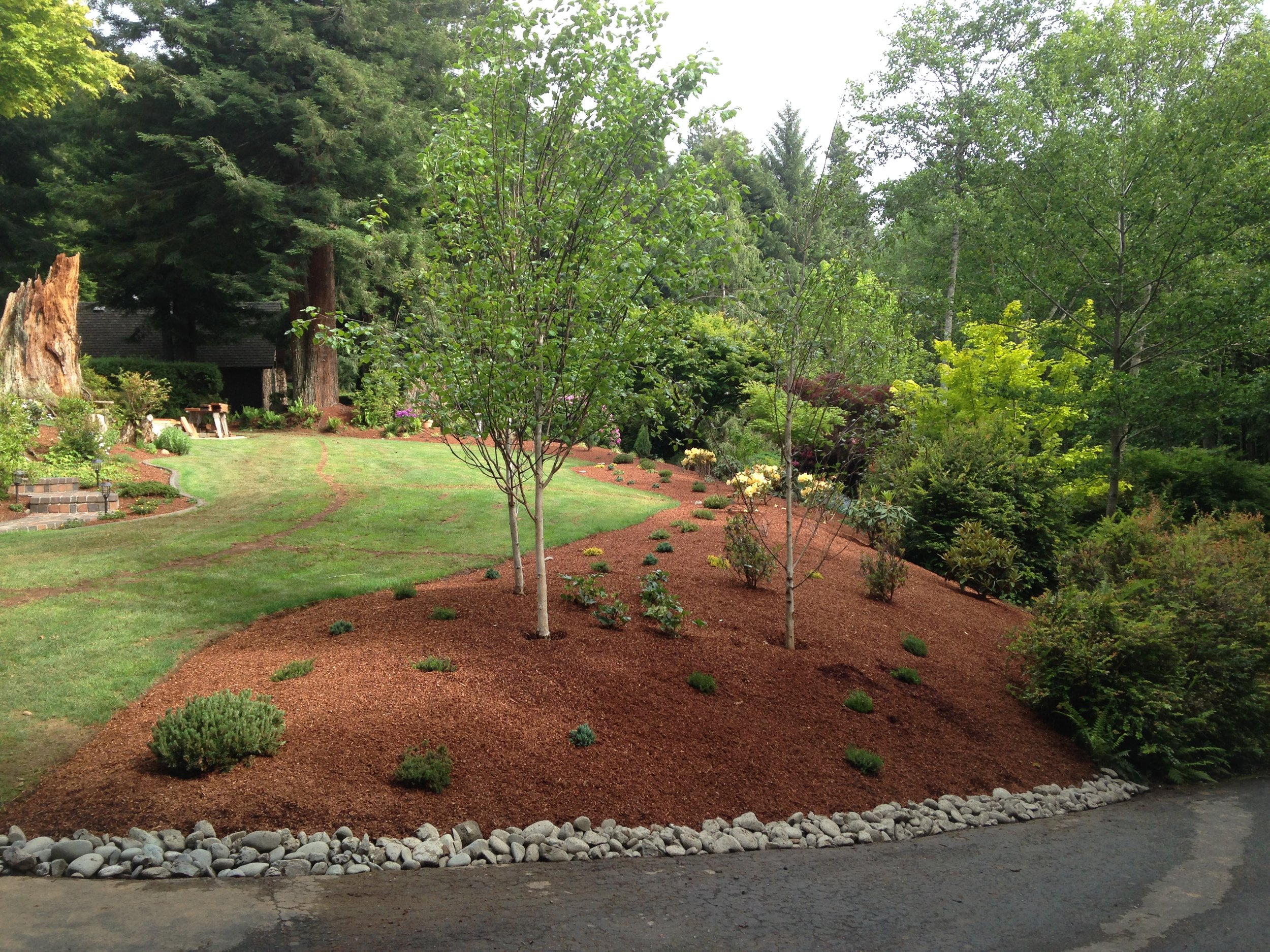 Arcata Garden Design by Ryan Scott 