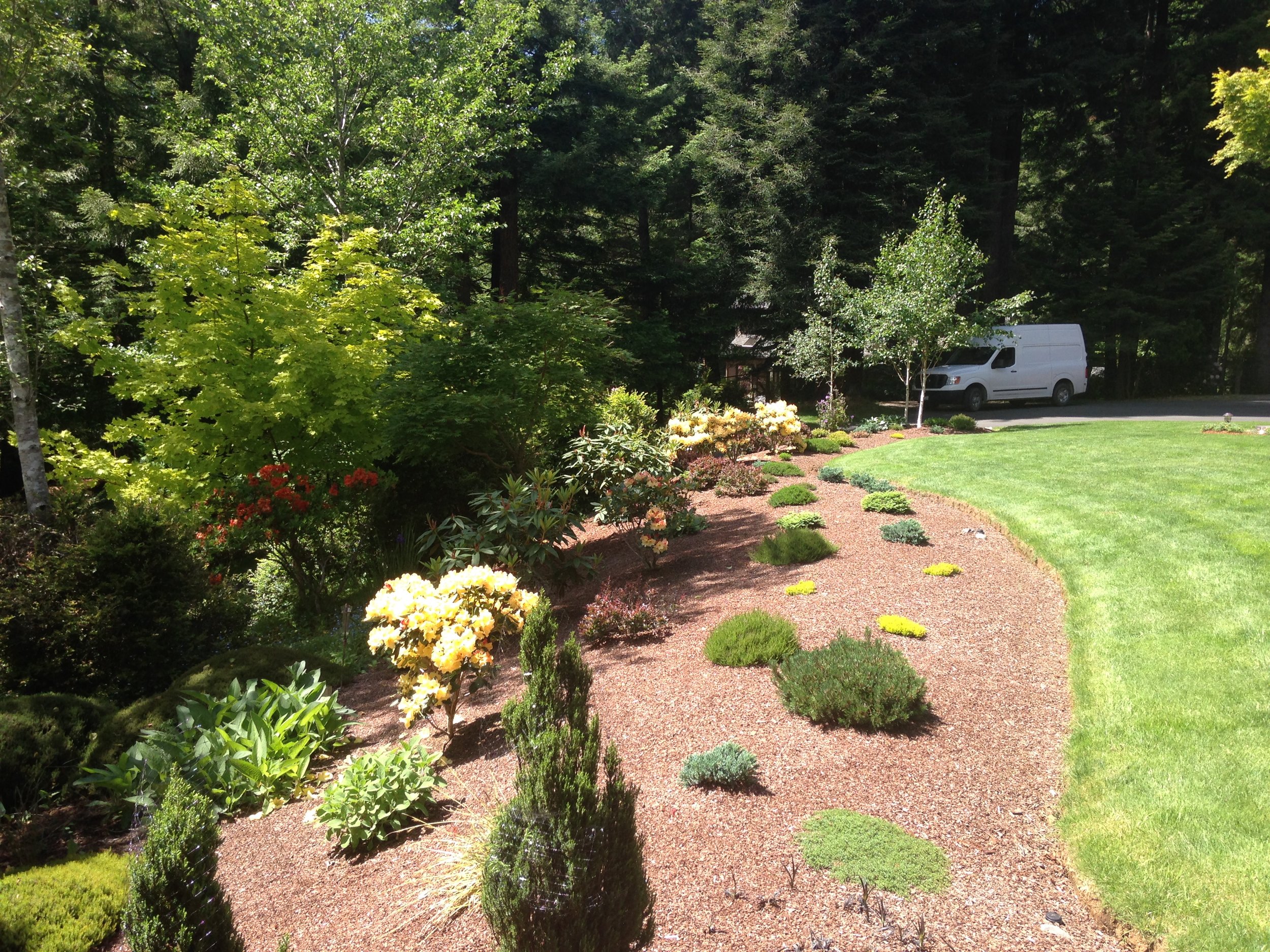 Arcata Garden Design by Ryan Scott 