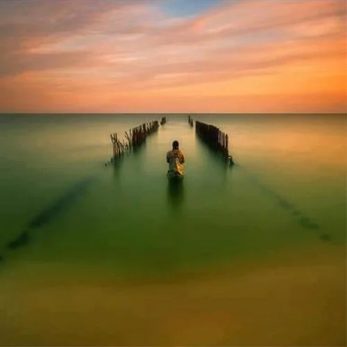 "Open to Conscious Dying" An Evening of Discovery