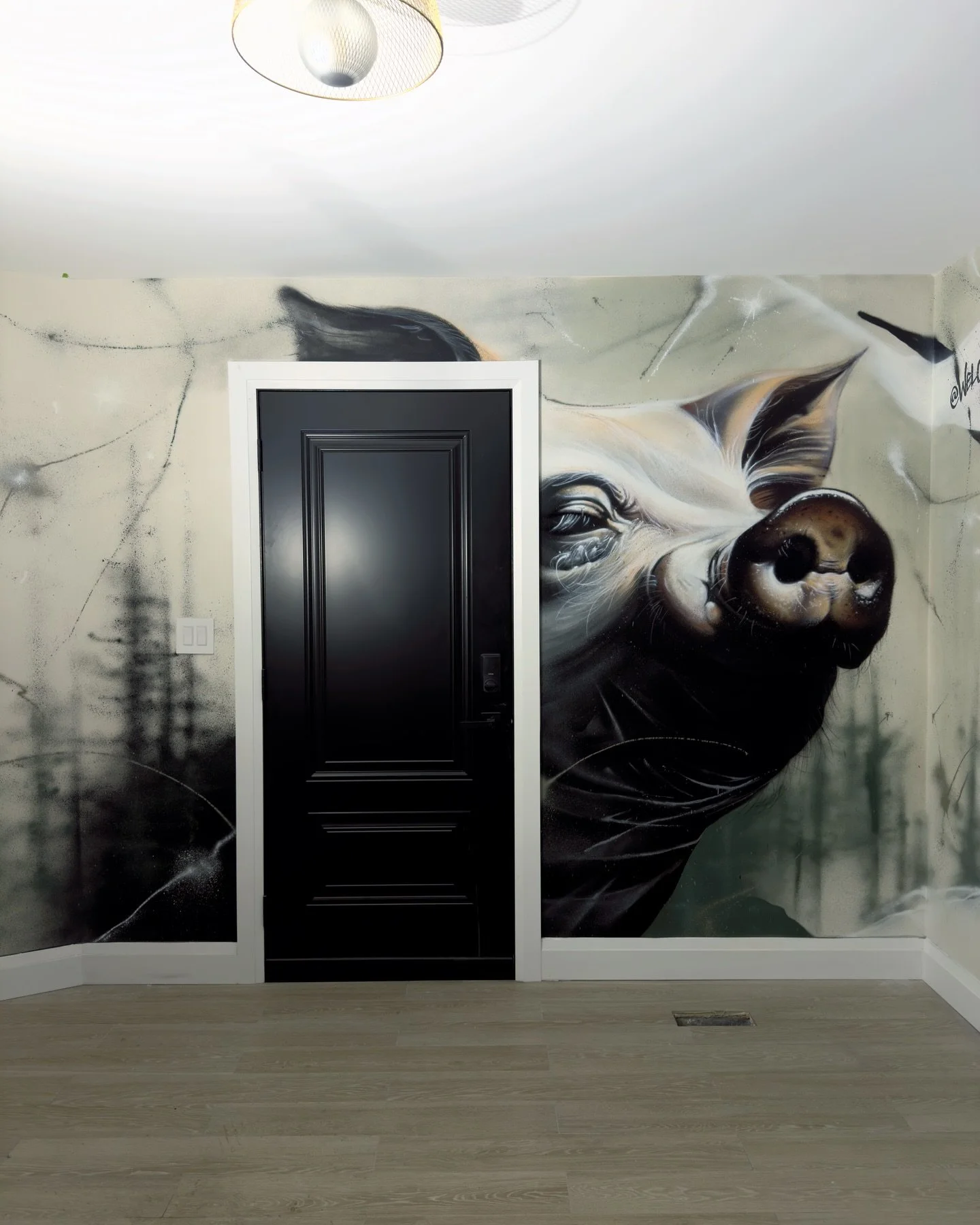 A Couple of cool animals for @welcometothetaiga !!! Thanks for letting me contribute to your amazing space !