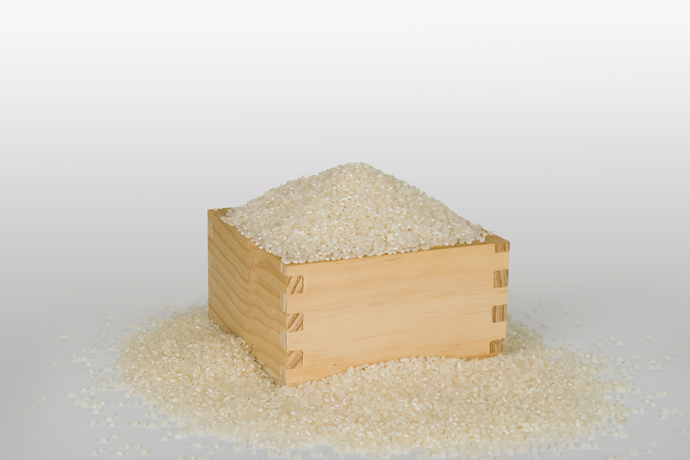 Wood, 140x140x78mm, 2015 SamhwaArts&Crafts p.p1 {margin: 0.0px 0.0px 0.0px 0.0px; line-height: 13.0px; font: 11.0px Helvetica; color: #464646; -webkit-text-stroke: #464646}
span.s1 {font-kerning: none}