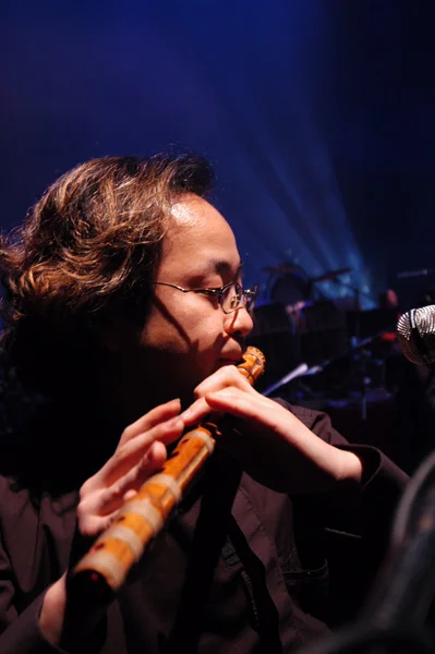 Bamboo Meets Jazz: Starlight Forest