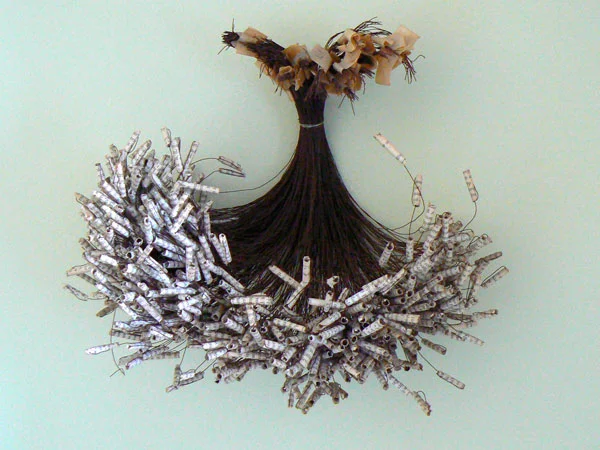 Revealing the Ordinary