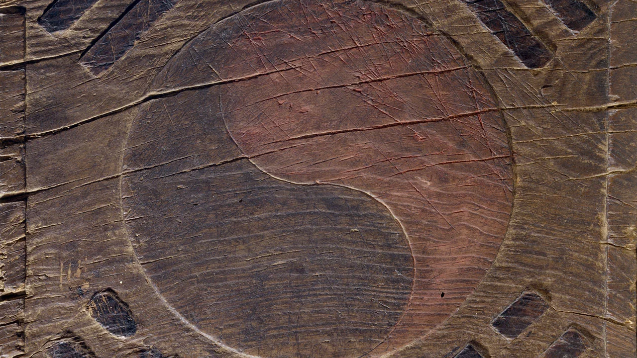 [Closed] Special Exhibition Field Trip Program: