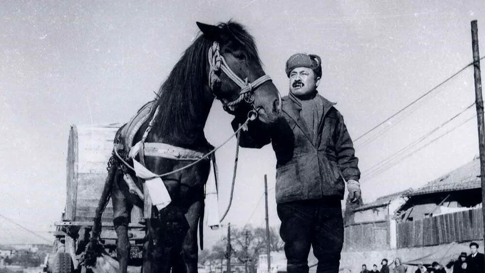 Korean Classic Film: 1930~1990's Film Series _ 1960’s (8) 