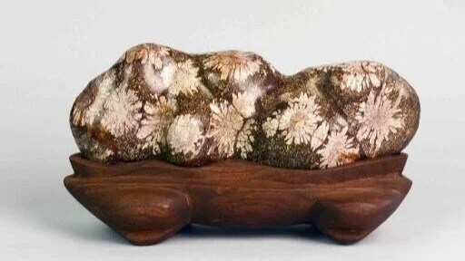 [Online Conversation Series 2] Portals - Collecting and Interpreting Evocative Rocks