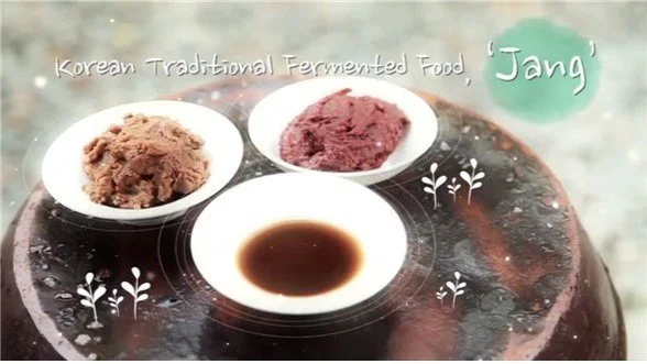 Korean Traditional Fermented Food, 'Jang'