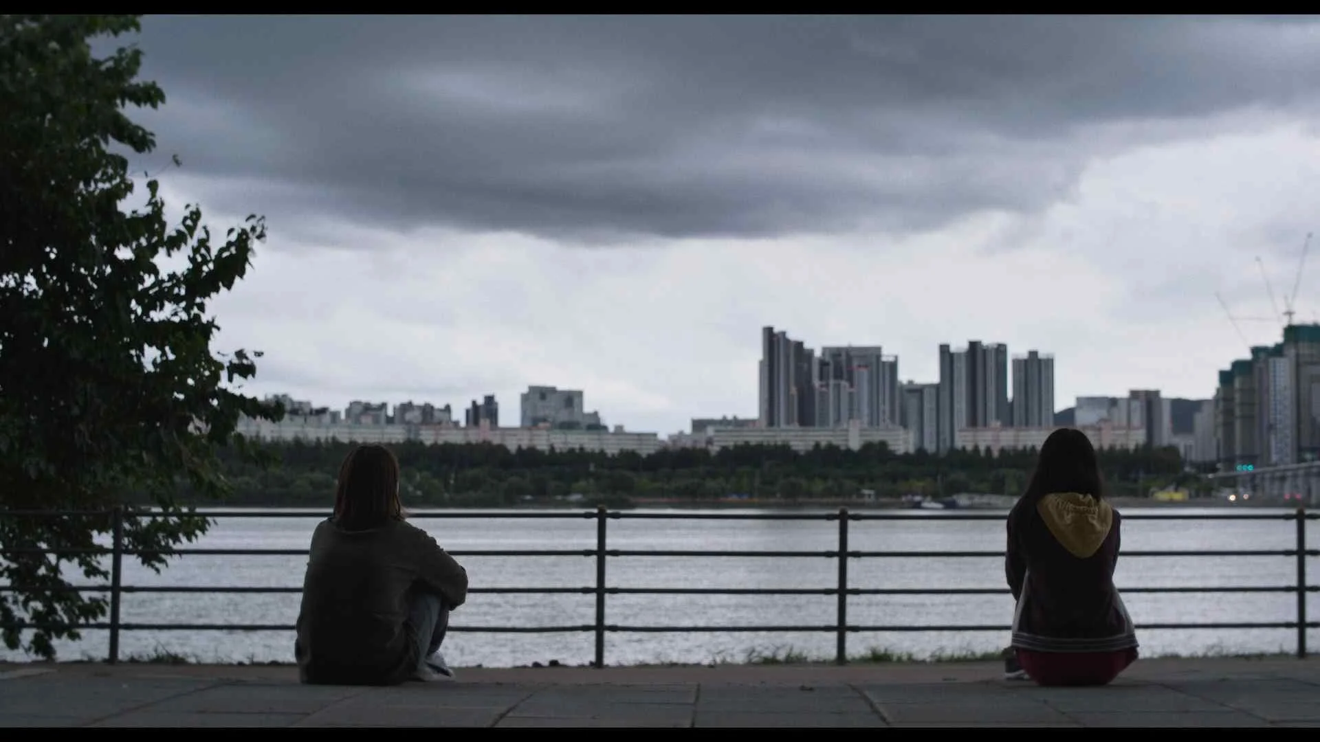 Korean Films in NYC: Water Lilies (수련)