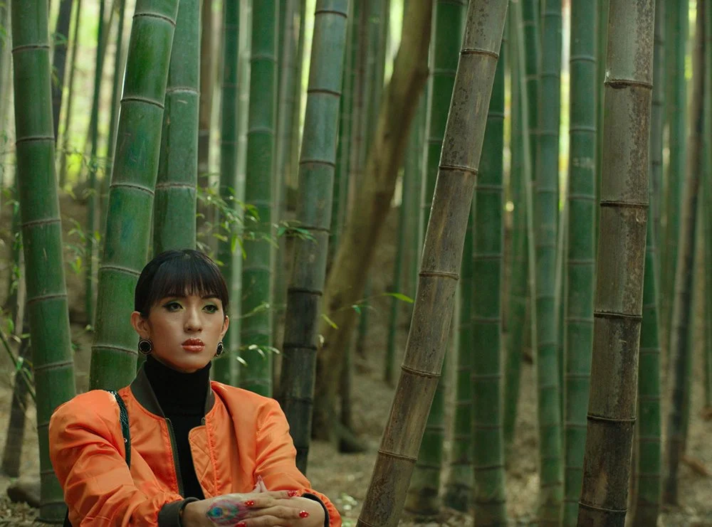 Peafowl_press still_05.jpg