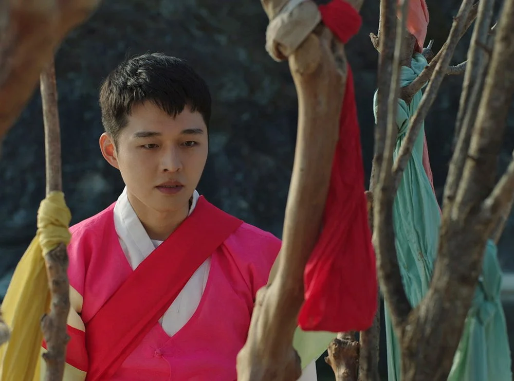 Peafowl_press still_06.jpg