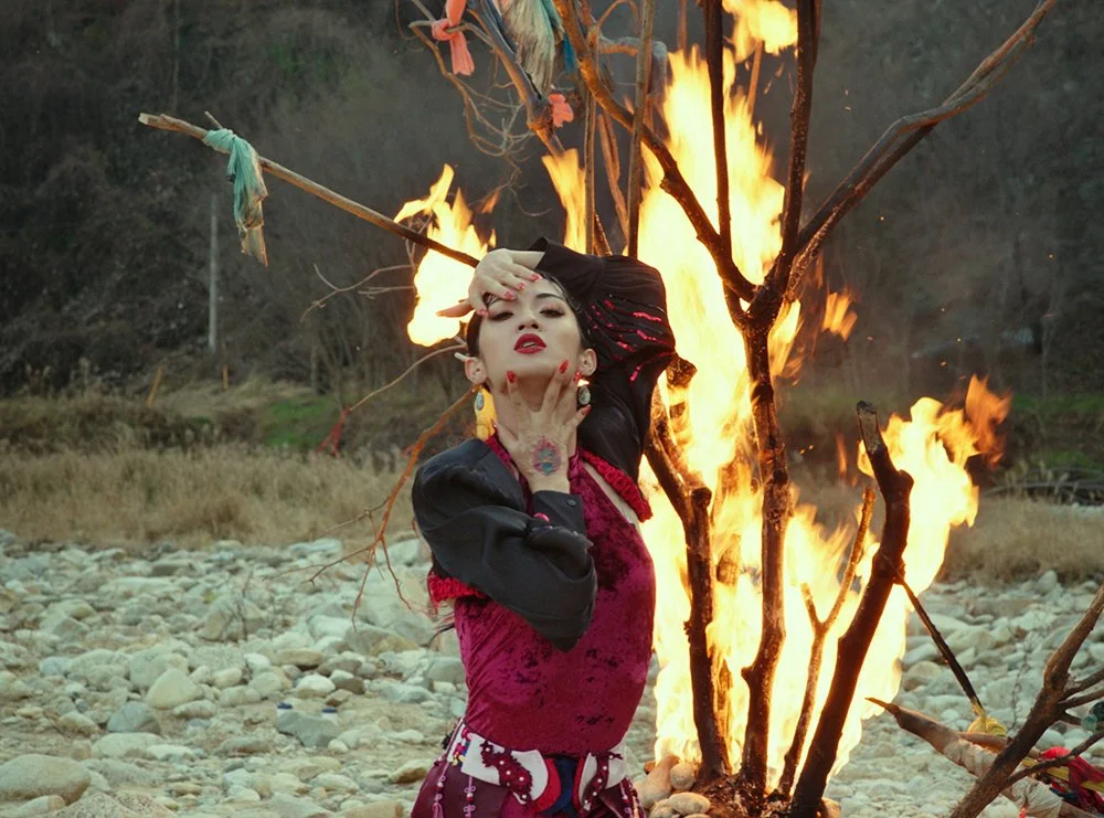 Peafowl_press still_10.jpg