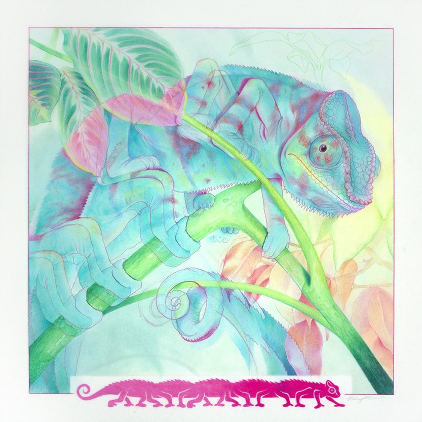 Fragmentary