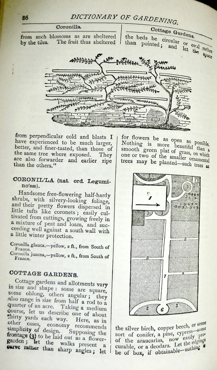 Beeton's All About Gardening-2.jpg