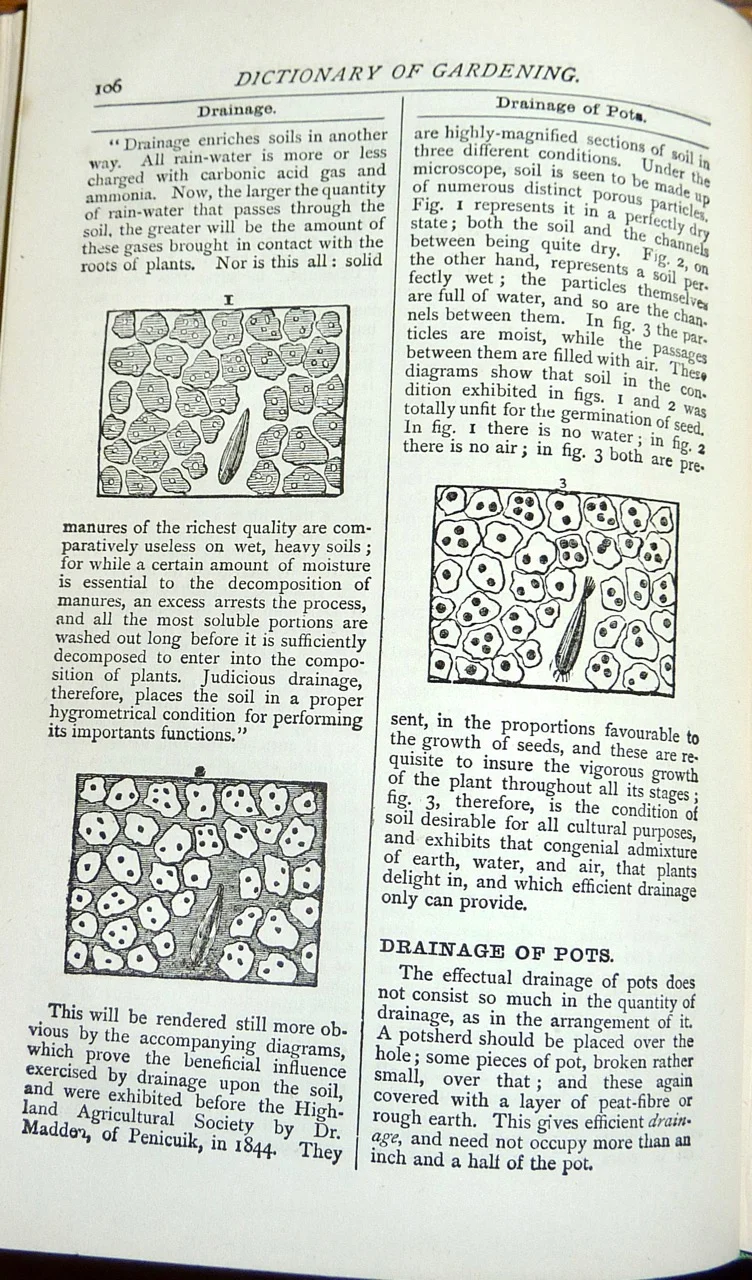 Beeton's All About Gardening-3.jpg