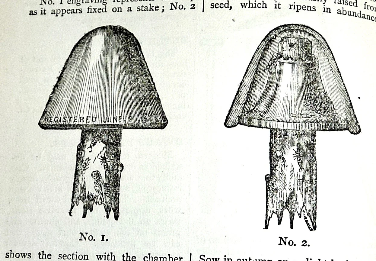 Beeton's All About Gardening-5.jpg