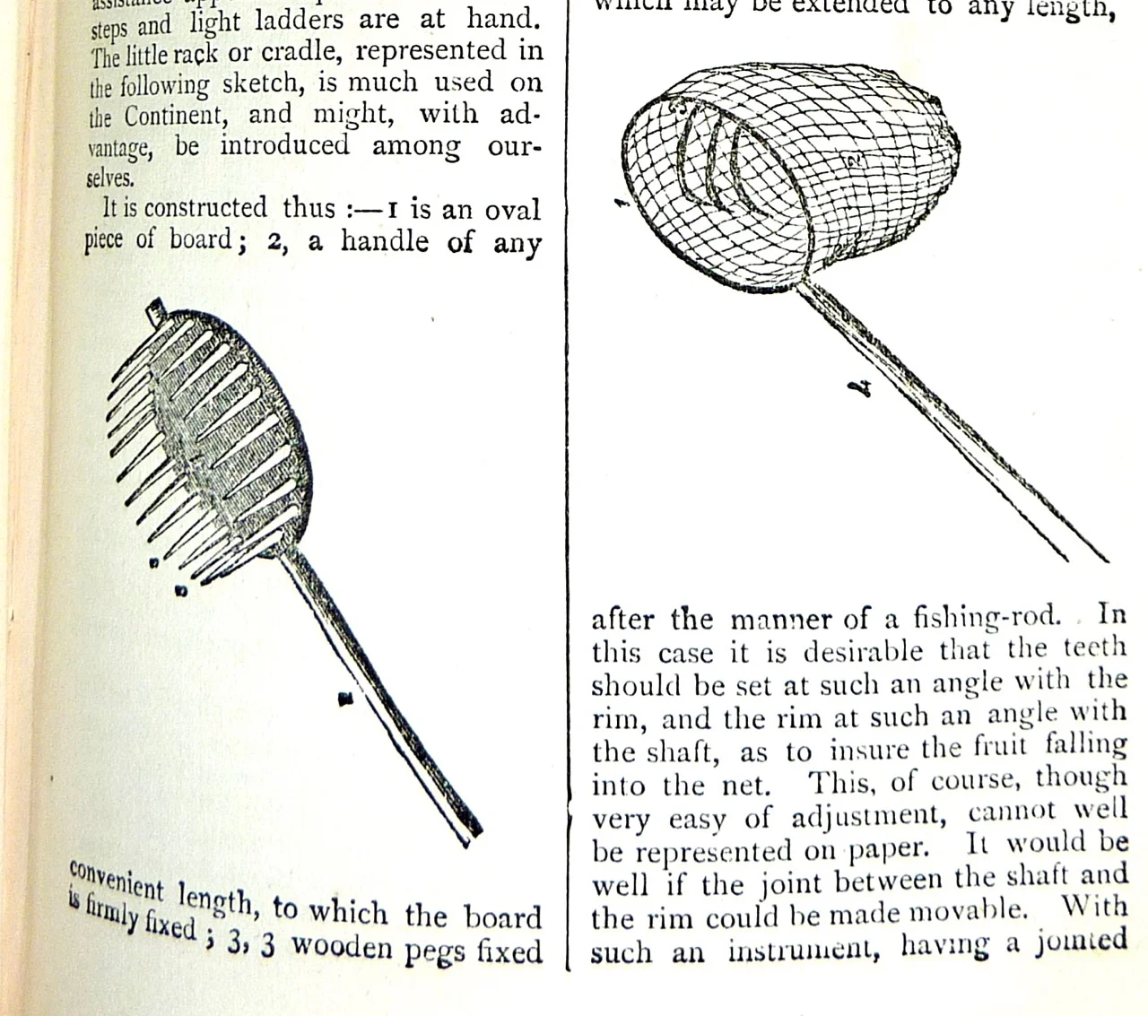 Beeton's All About Gardening-7.jpg