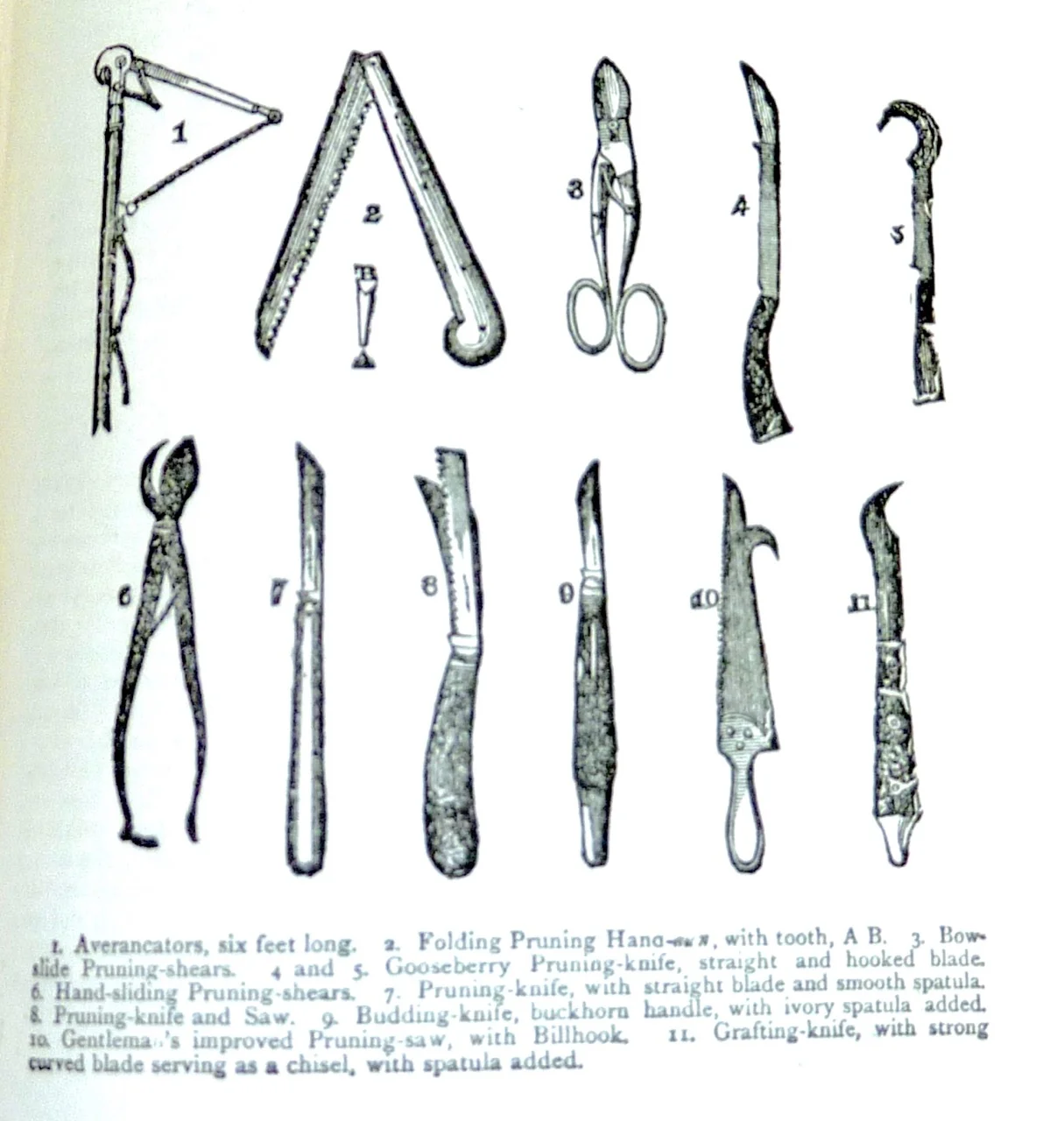 Beeton's All About Gardening-8.jpg