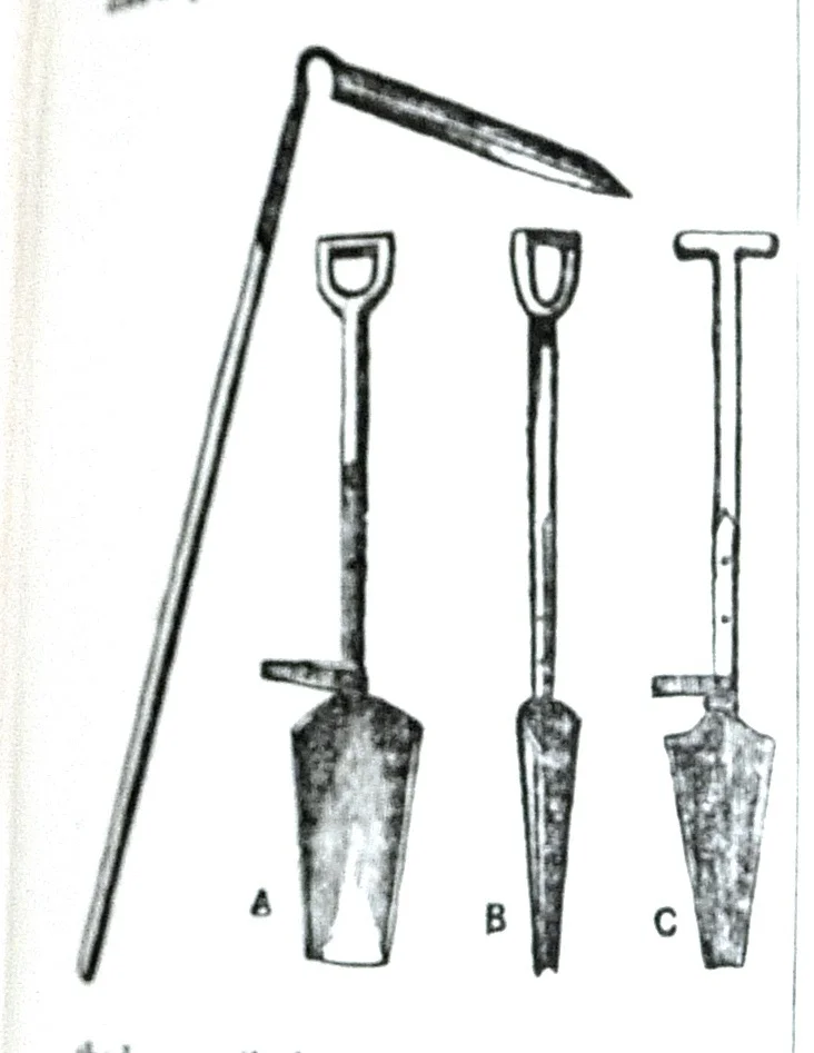 Beeton's All About Gardening-4.jpg