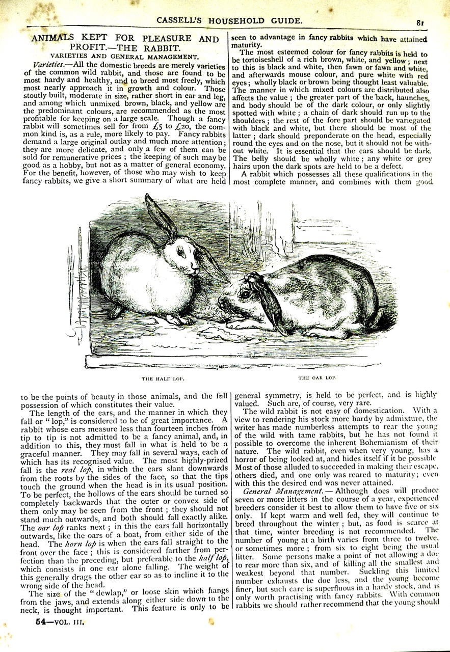 Cassell's Household Guide-14.jpg