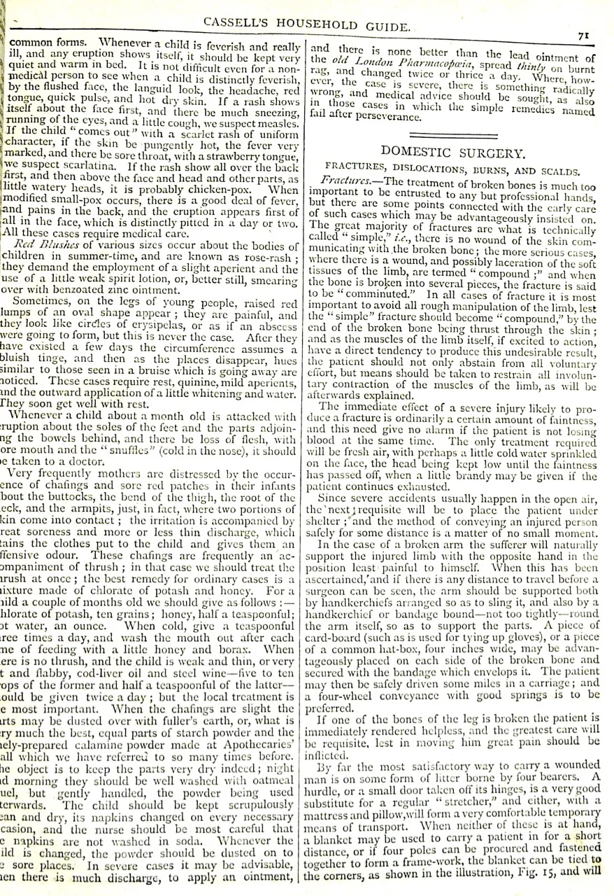 Cassell's Household Guide-4.jpg