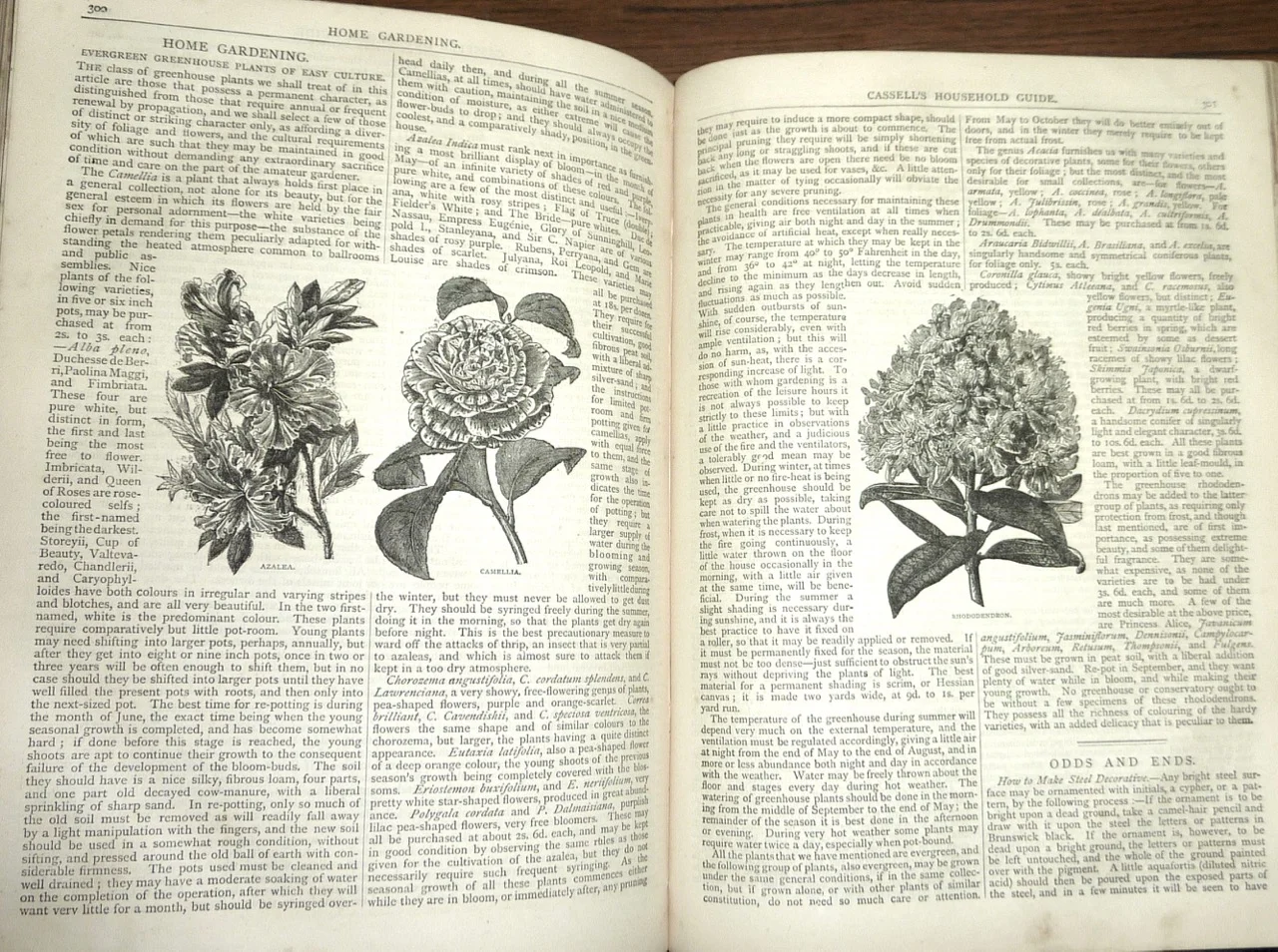 Cassell's Household Guide-25.jpg