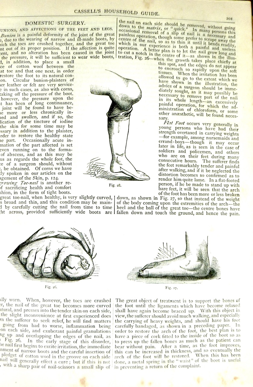 Cassell's Household Guide-5.jpg