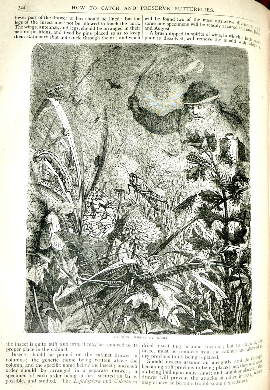 Cassell's Household Guide-26.jpg