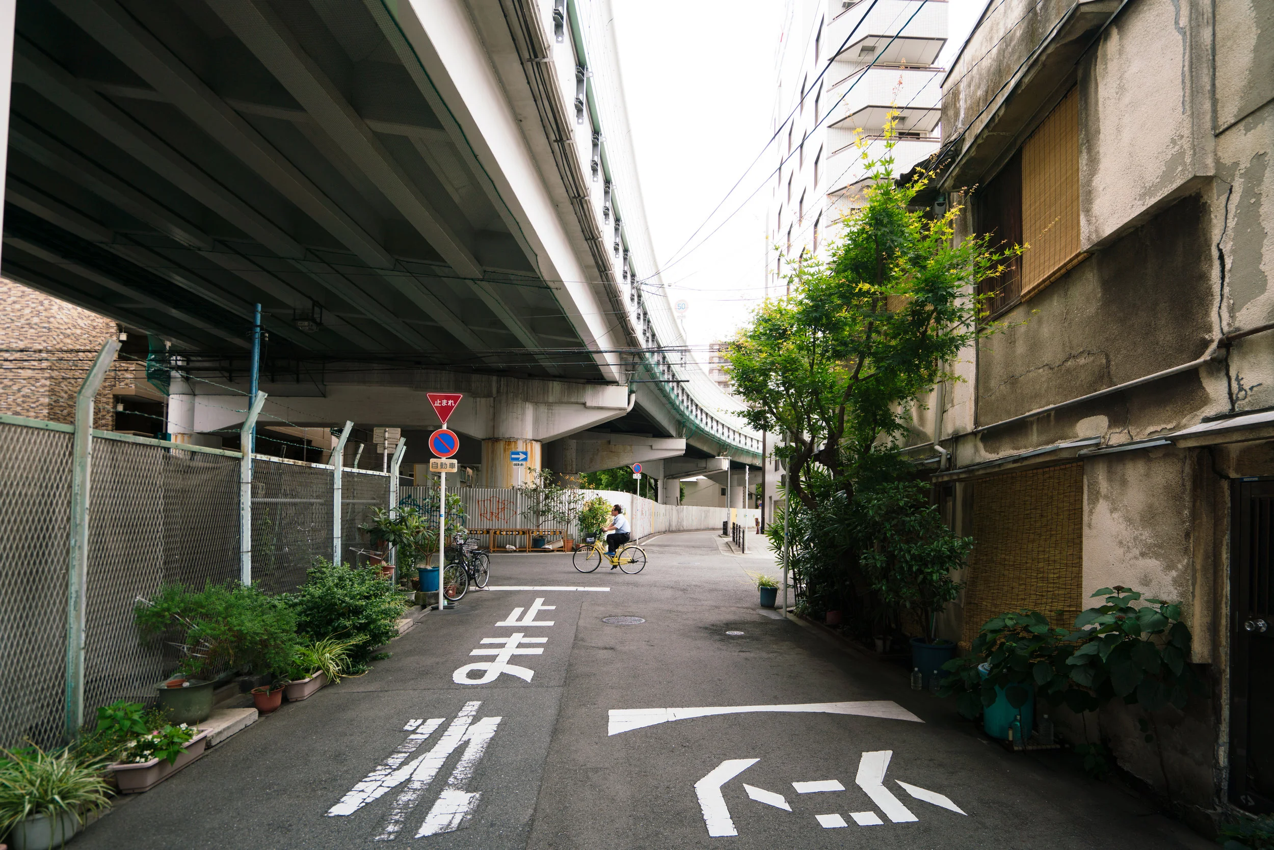 DSC09986.jpg