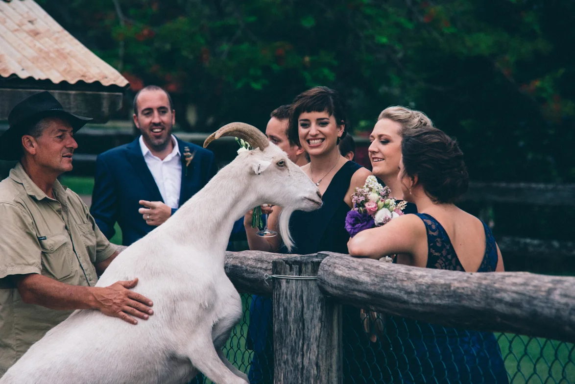 SaraScottWeddingWebLandscape-106.jpg