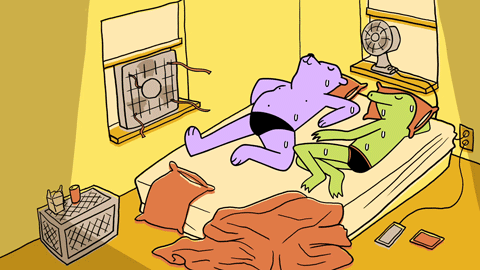 summerfilm_LOOP_v01.gif
